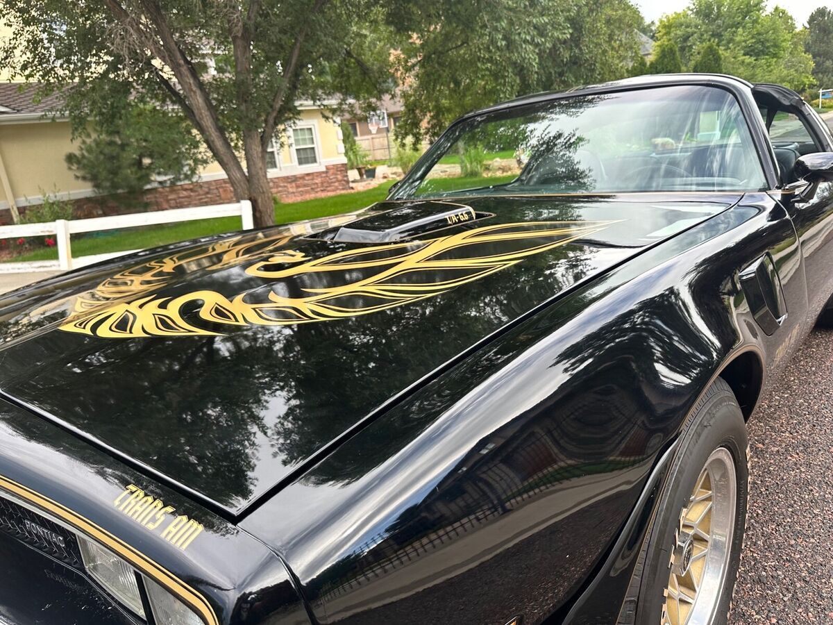 1977 pontiac trans am coupe black rwd automatic special edition y82