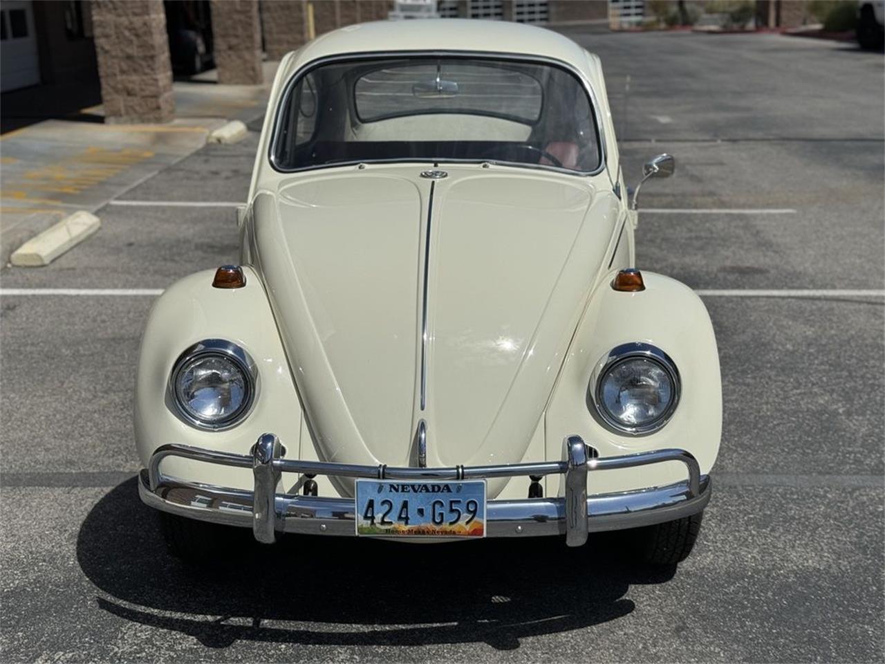 1967 volkswagen beetle