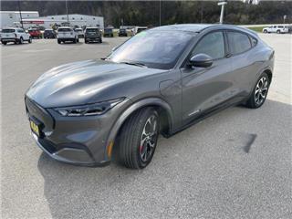 2021 Ford Mustang Mach-E premium