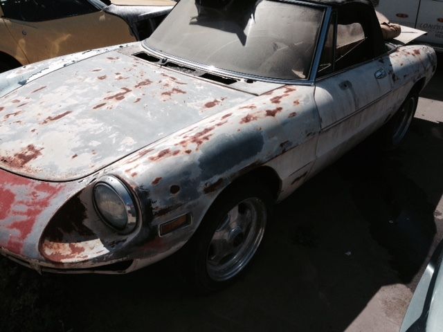 1981 alfa romeo convertible