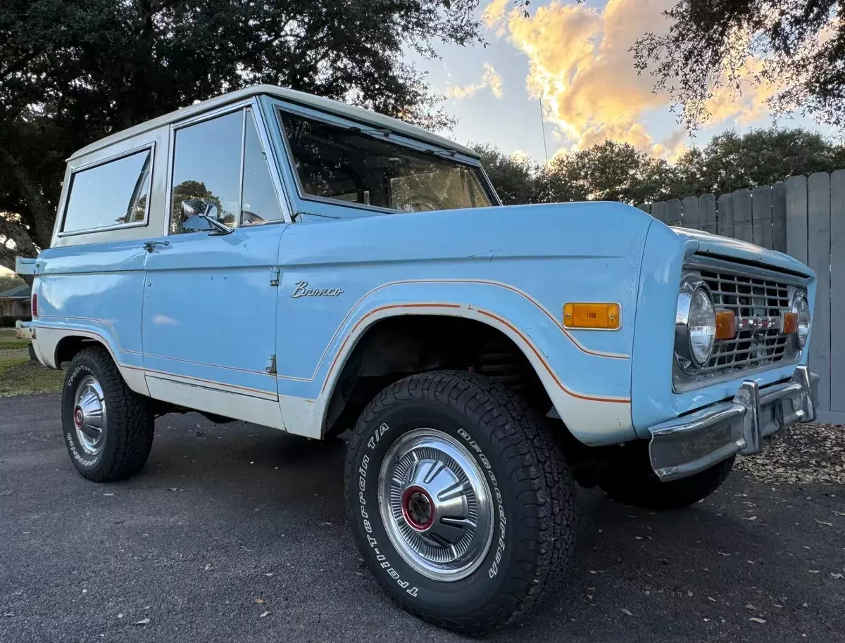 ford bronco survivor