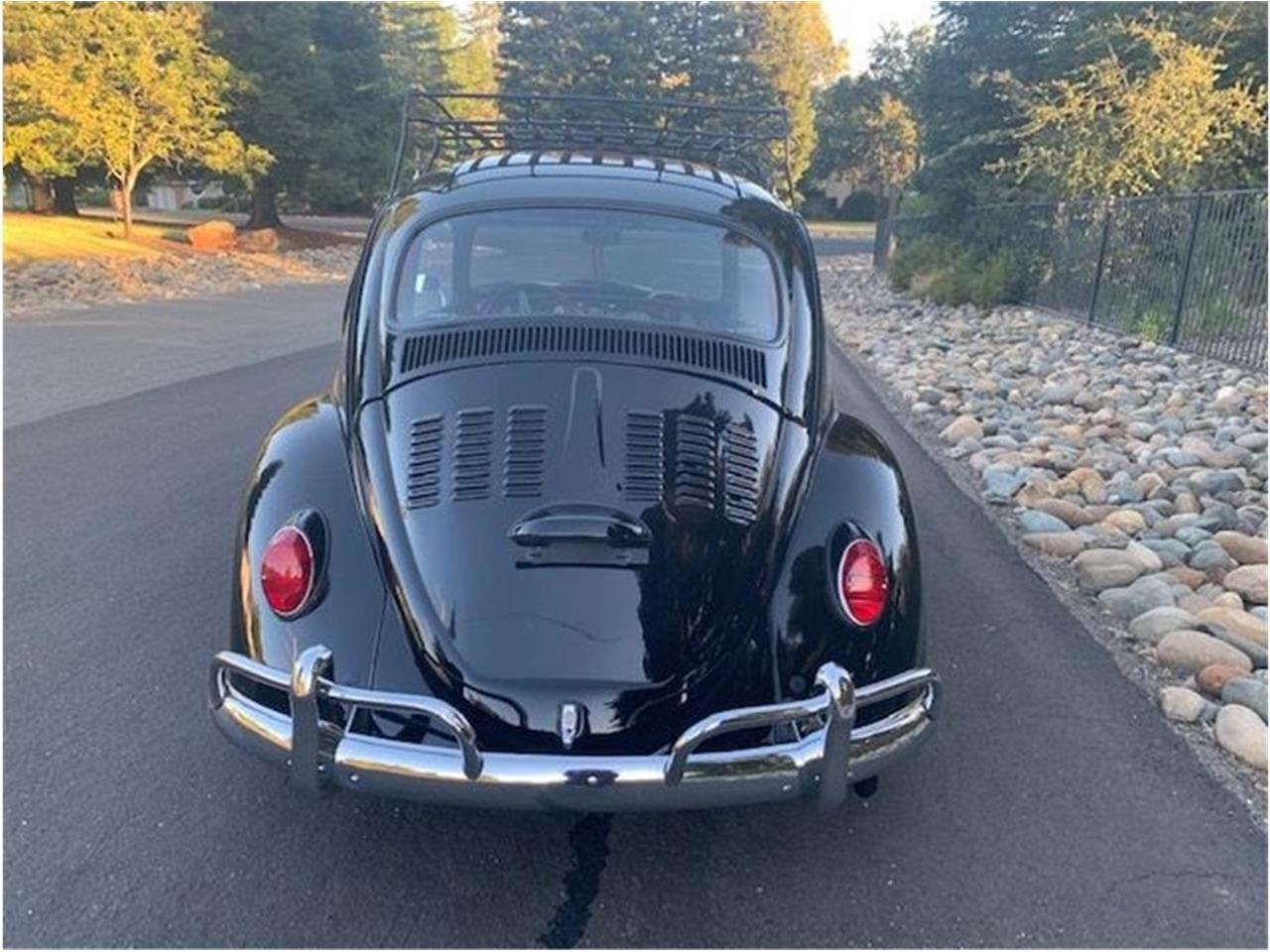 1965 volkswagen beetle