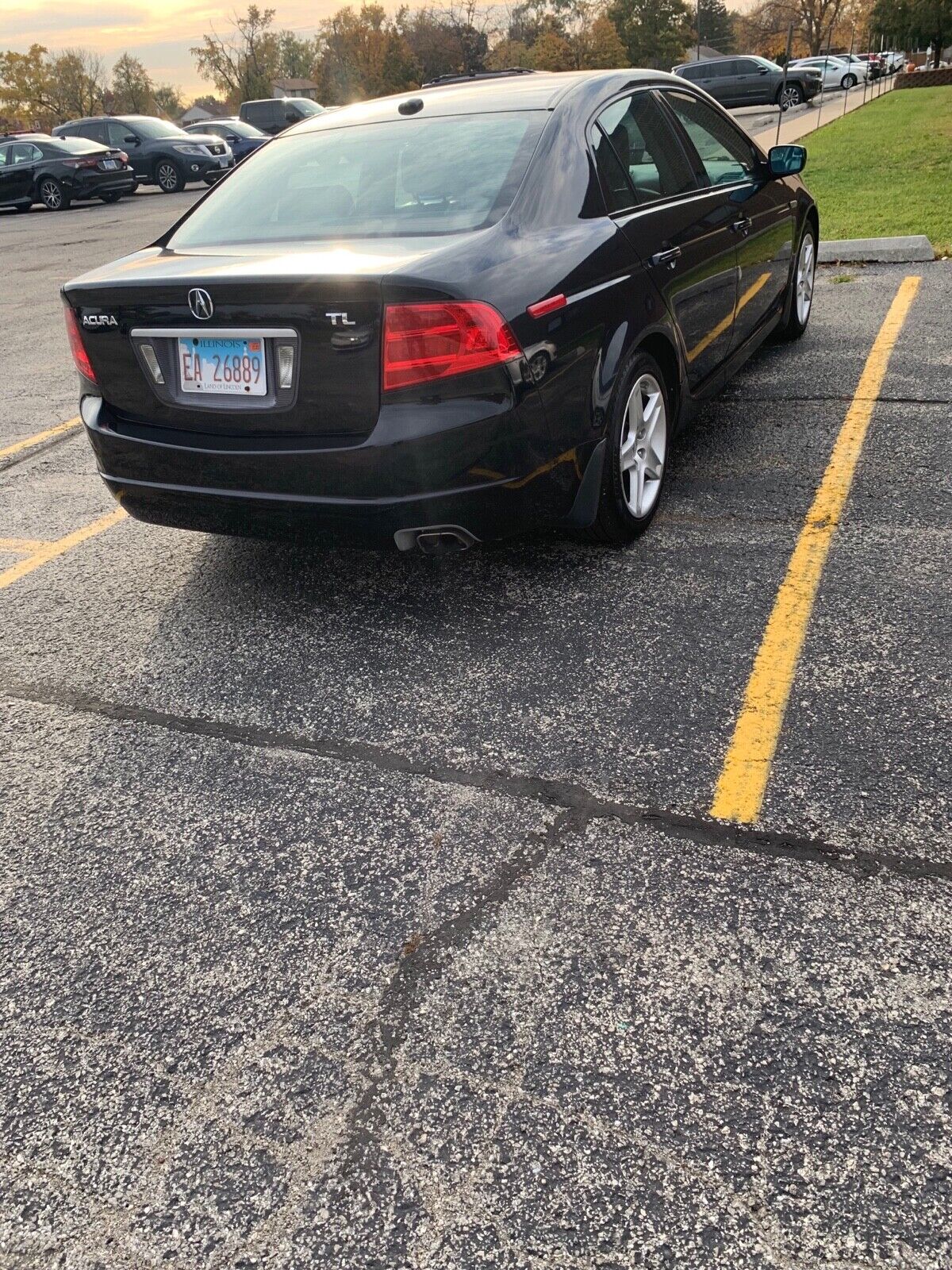 2006 acura tl