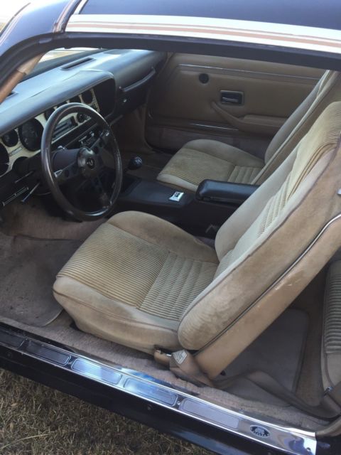 1981 pontiac trans am se y84