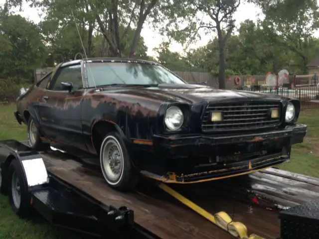 1978 king cobra barn find!