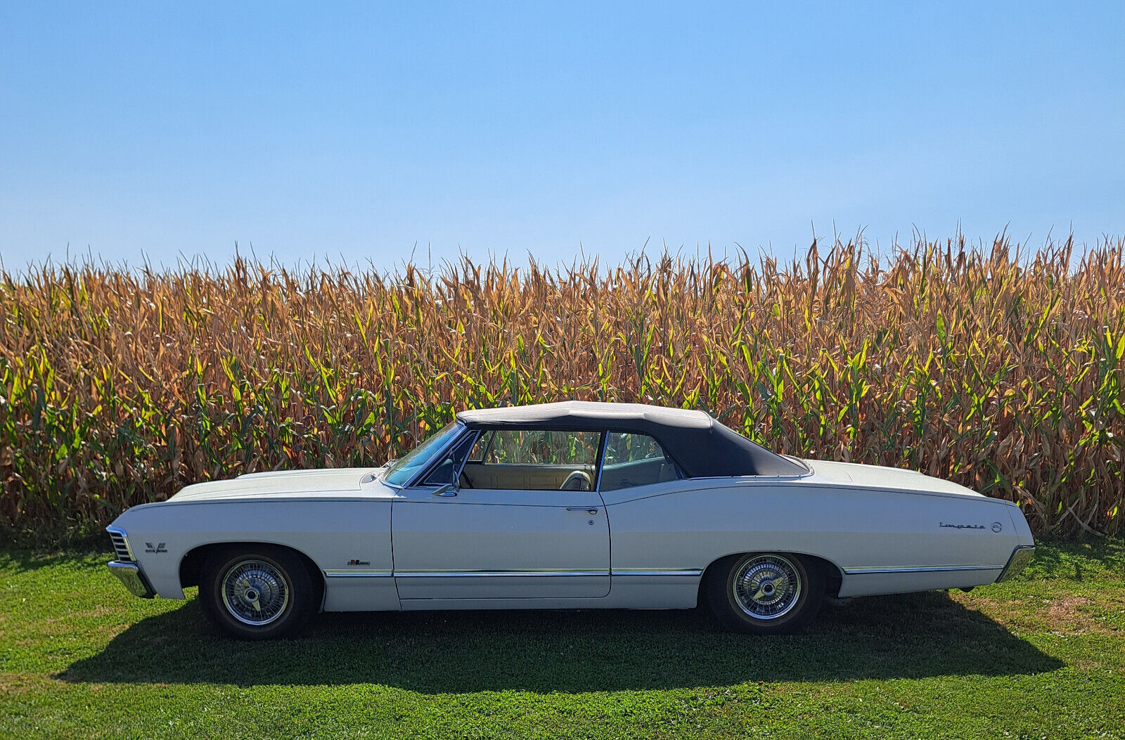 1967 chevrolet impala