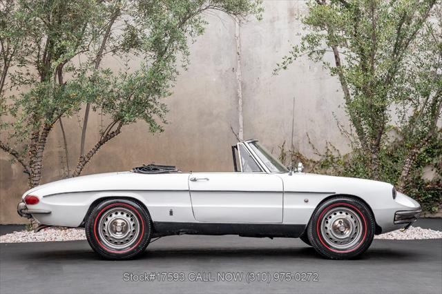 1967 alfa romeo giulia spider