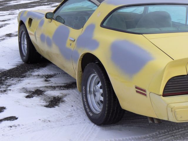 79 trans am