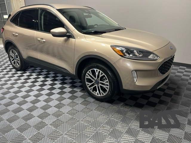 2020 ford escape sel