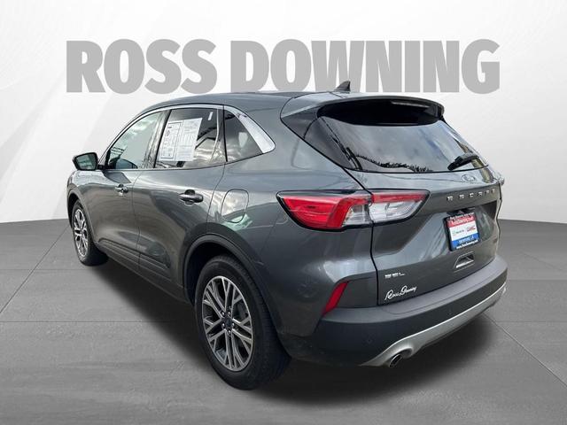 2022 ford escape sel