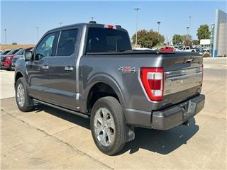 2021 Ford F-150 platinum