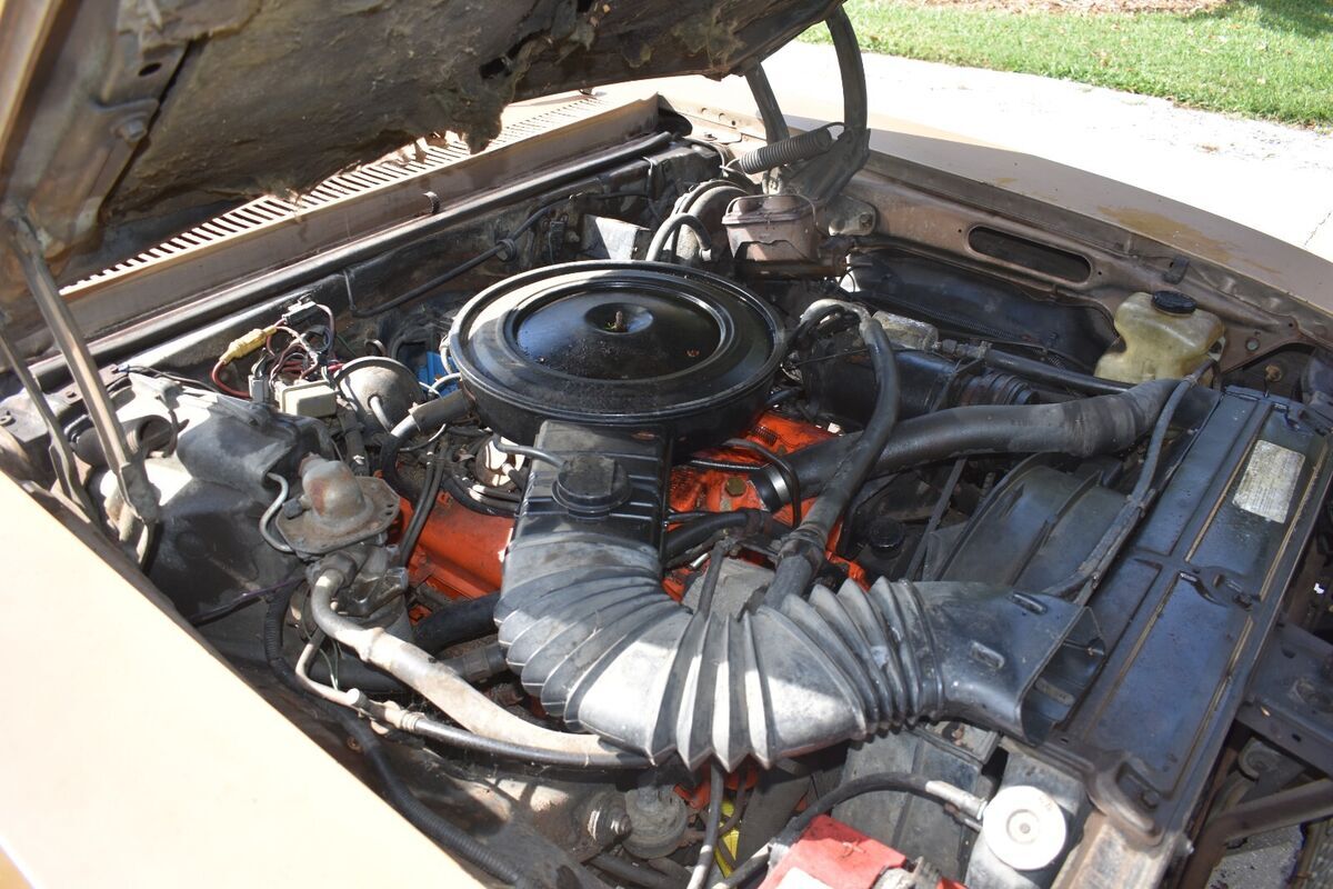 1976 chevrolet nova concourse hatchback