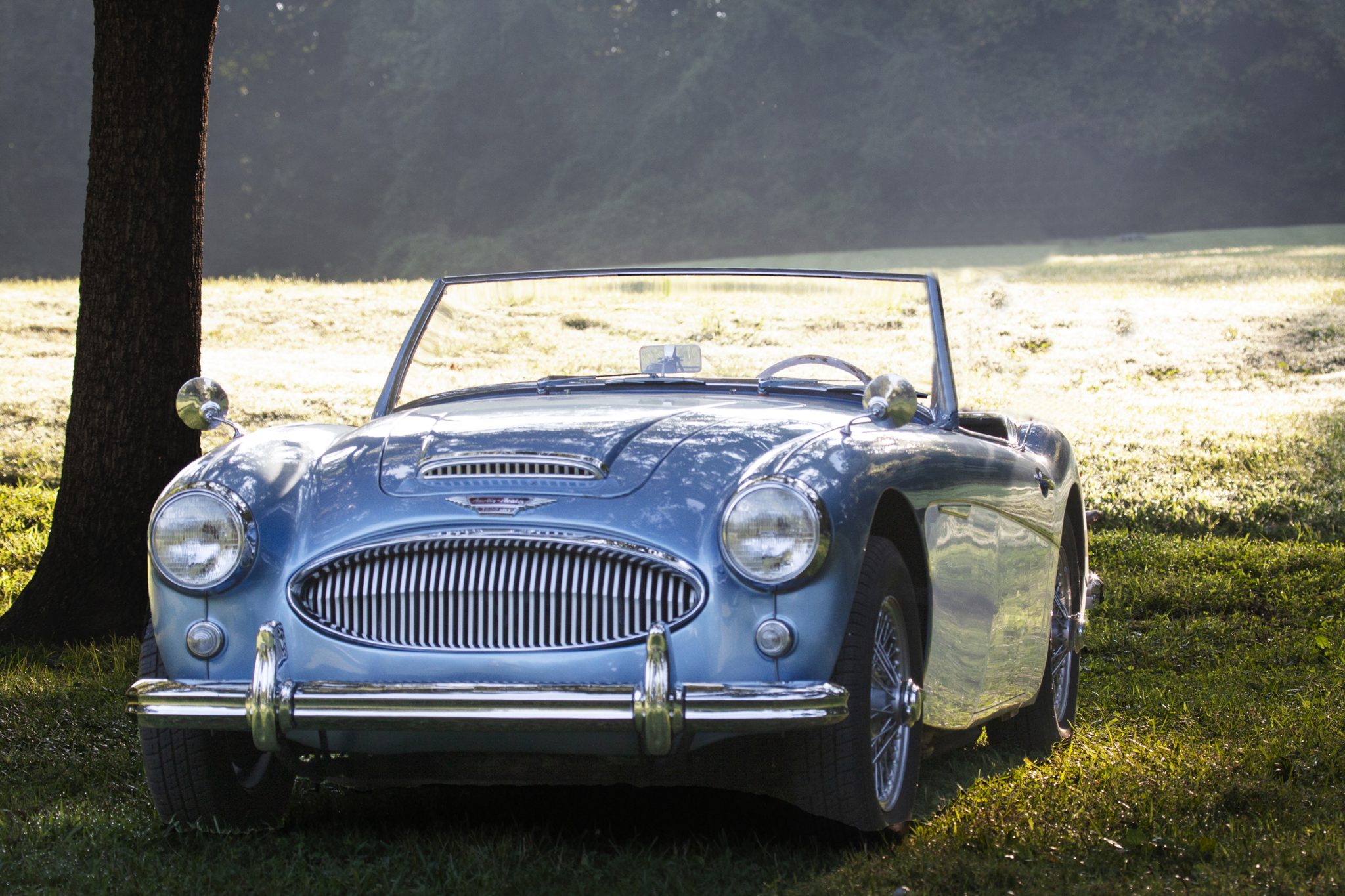 1961 austin-healey 3000 bt7 mk ii