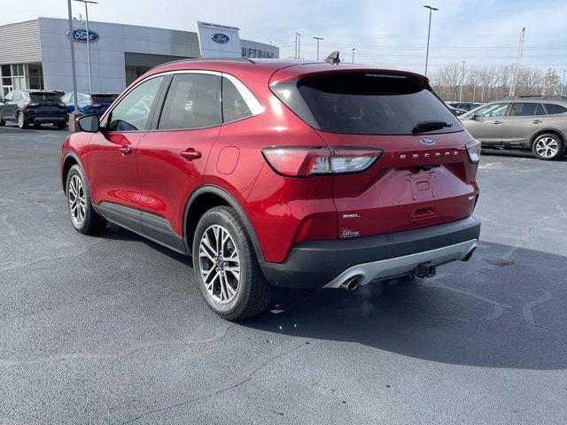 2020 ford escape sel