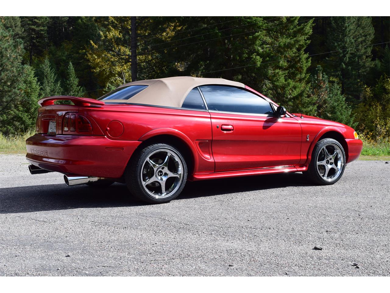 1998 ford mustang svt cobra