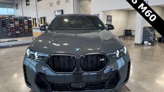 2025 BMW X6