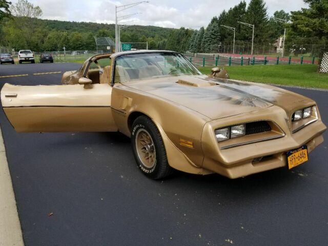1978 pontiac trans am y88 se