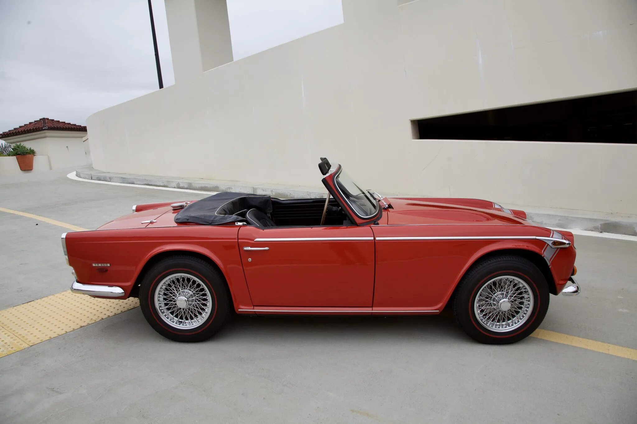 triumph tr250