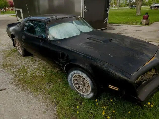 1977 pontiac trans am - special edition - t-tops - auto - 2nd owner of 37 yrs