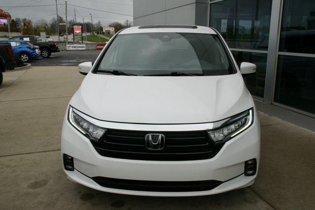 2024 honda odyssey elite