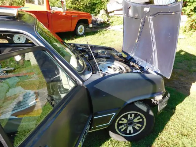 rare renault r5 1982 lecar