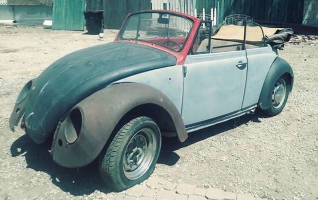 1969 volkswagon vw bug convertible