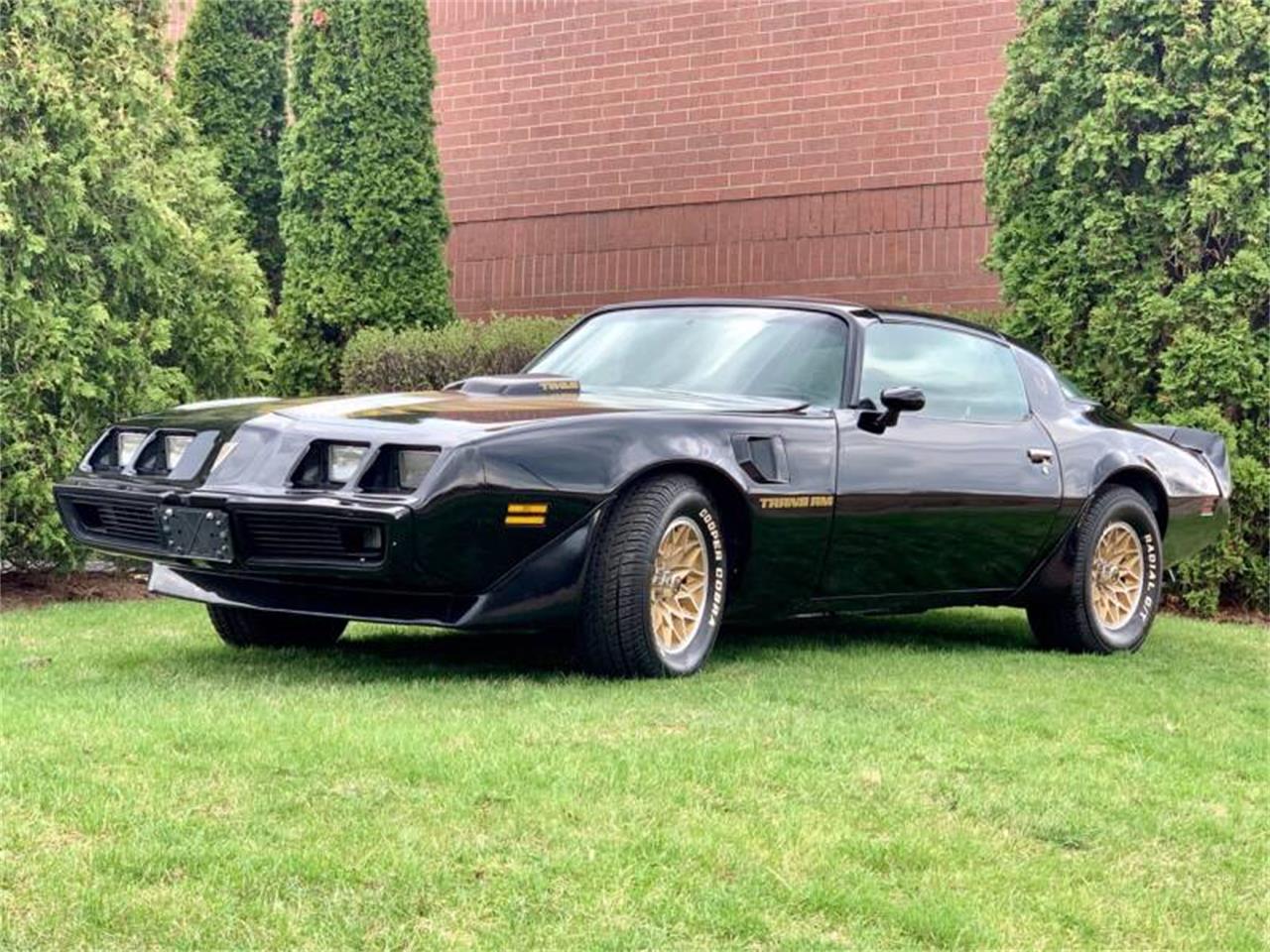 1979 pontiac firebird trans am