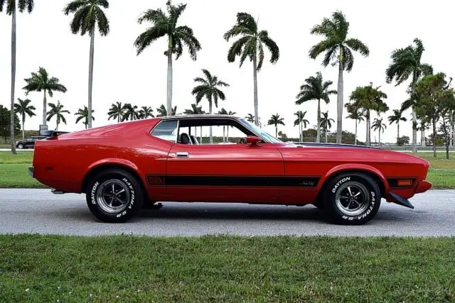 1973 mustang fastback