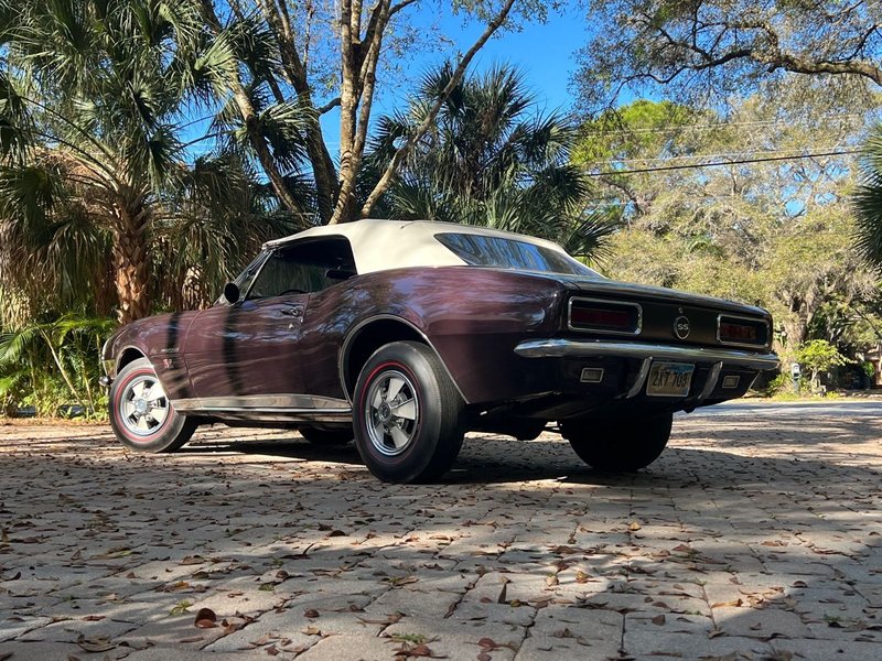 chevrolet camaro rs/ss convertible
