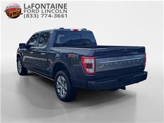 2021 Ford F-150 platinum
