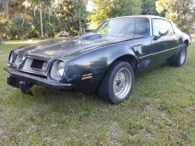 1975 pontiactrans am, 6.6 liter / th350 automatic, limited slip posi rear
