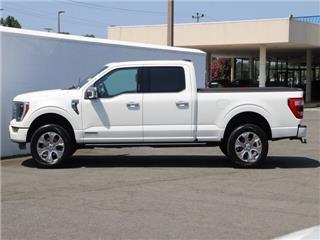 2021 Ford F-150 platinum