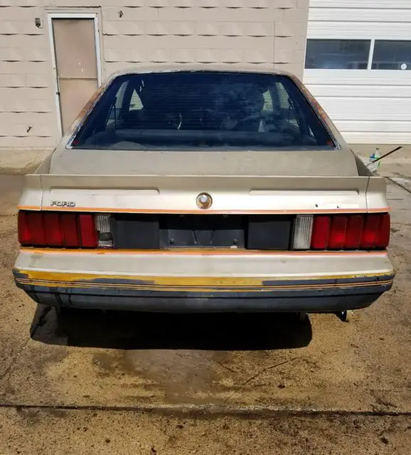 1979 ford mustang indy pace car foxbody project barn find