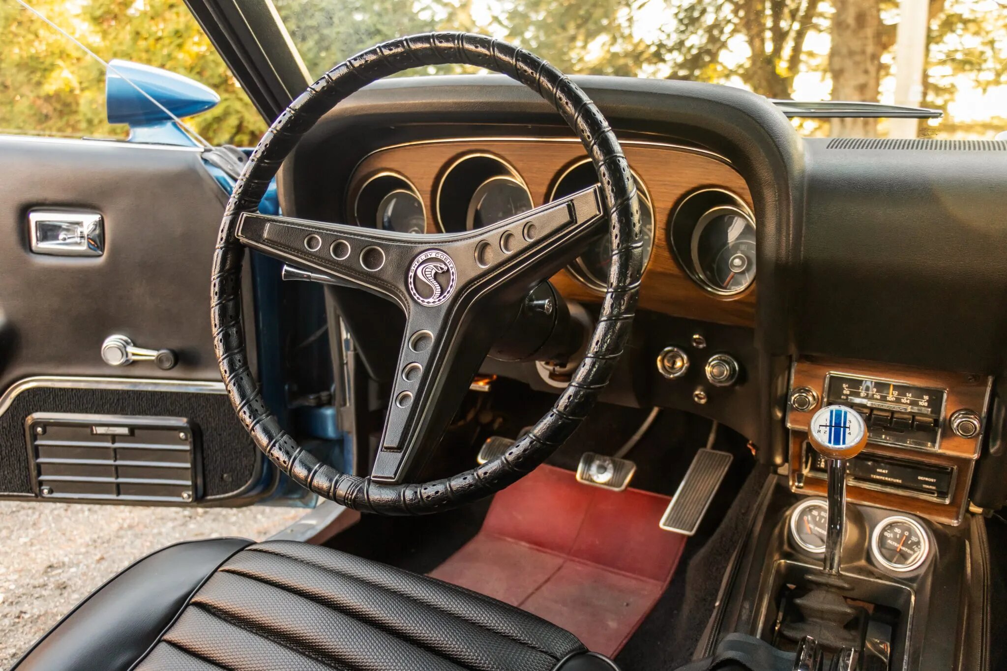 shelby mustang gt500