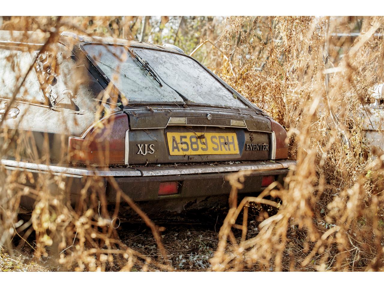 1983 jaguar xjs