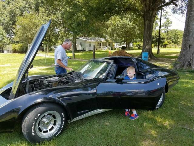 stingray t-top corvette 1977 350/8 cylinders