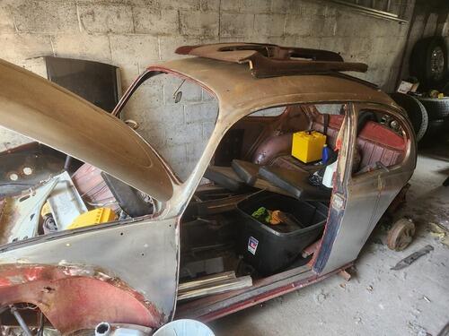 1966 beetle shell
