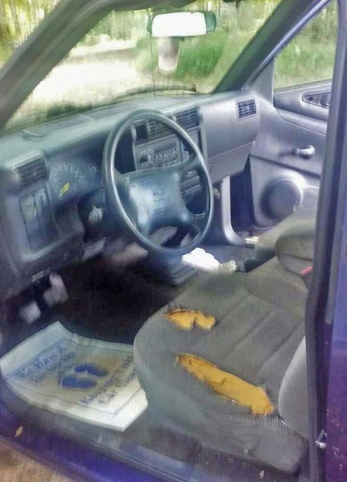 1995 chevrolet s-10 ls for sale in tennessee by owner
