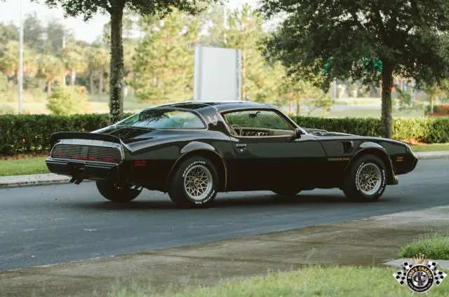 1979 pontiac trans am special edition bandit! rare 4-spd y84 ws6 w72 museum