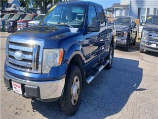 2009 Ford F-150 xl