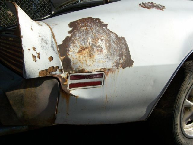 1979 pontiac firebird- project