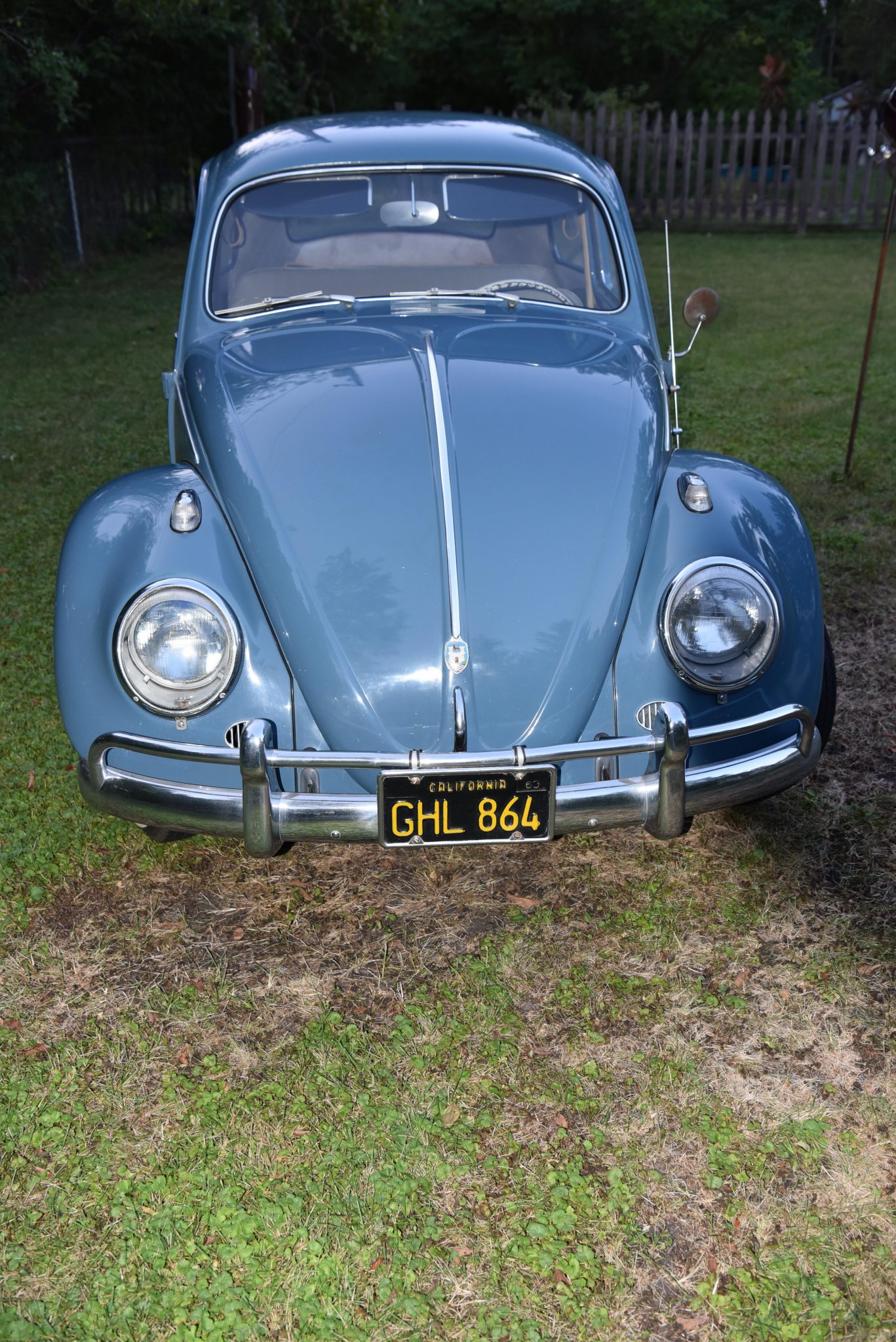 1959 volkswagen beetle