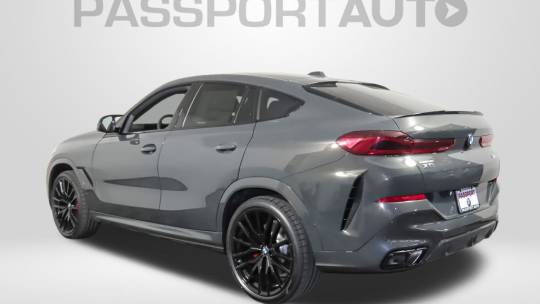 2025 BMW X6