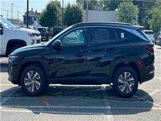 2024 Hyundai Tucson blue