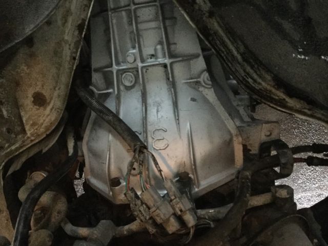 ford cargo van