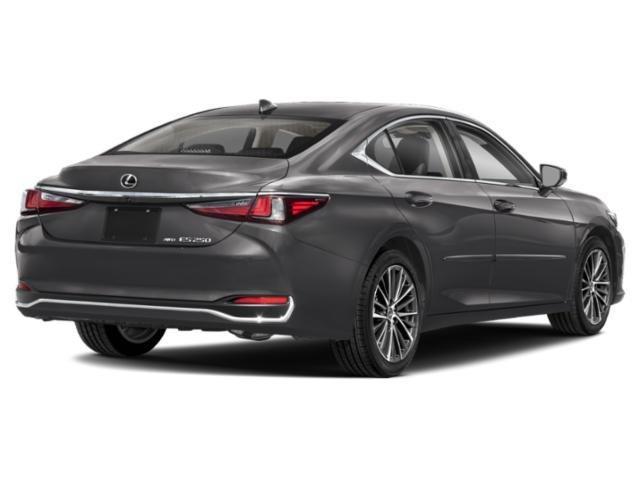 2024 lexus es 250 luxury