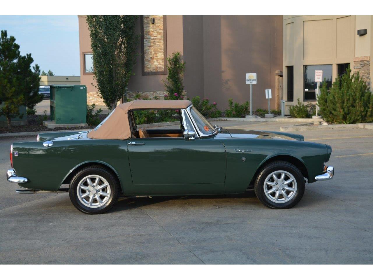 sunbeam tiger