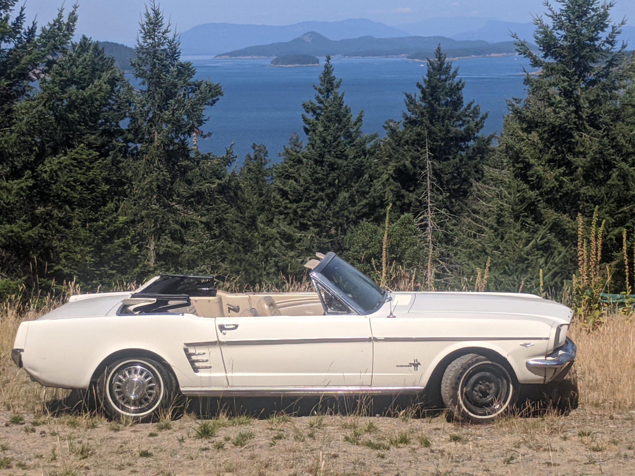 1966 ford mustang convertible 289