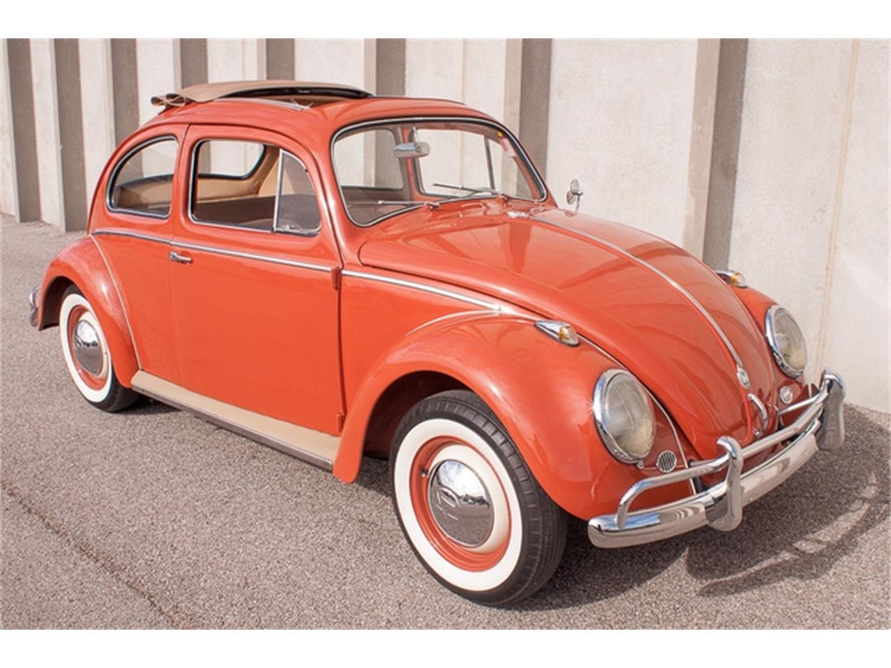 1959 volkswagen beetle