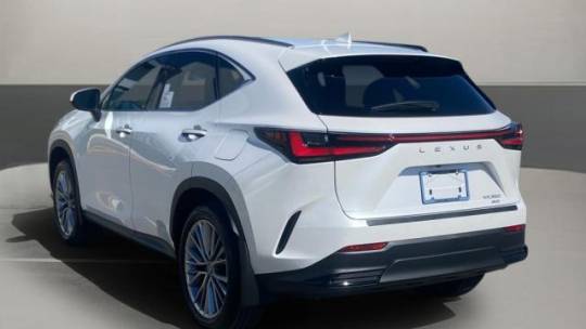 2025 Lexus NX